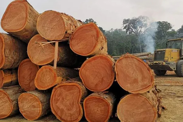 wOOD mATERIALS okoume